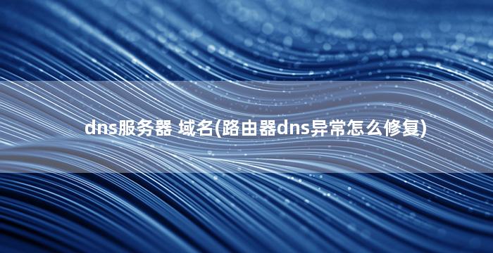 dns服务器 域名(路由器dns异常怎么修复)